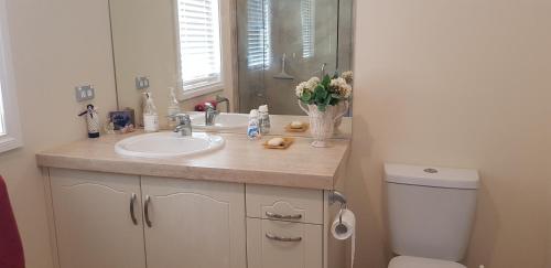 a bathroom with a sink and a toilet at Liz on Lowry in Hastings