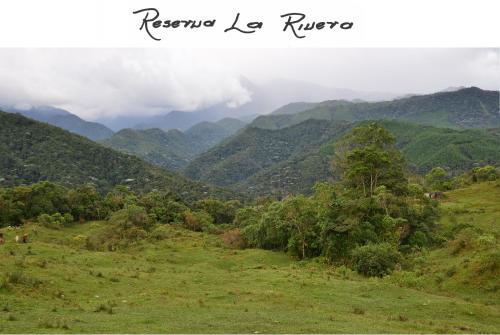 a view of a valley with mountains in the background at Reserva La Rivera in Salento