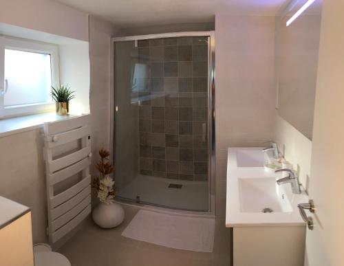 a bathroom with a shower and a sink at La pierre du petit'hom in Goxwiller