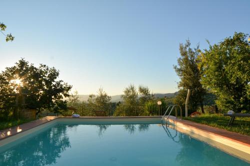 a large swimming pool in a yard with trees at Agriturismo Podere Rondinaio in Lamporecchio