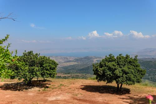 two trees on top of a hill with mountains in the background at Amirey Hagalil Boutique Hotel in Amirim