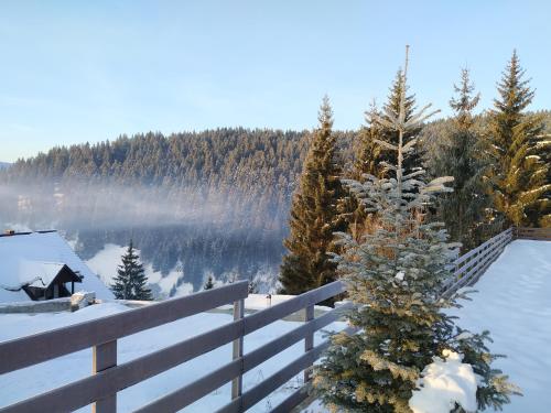 a christmas tree on a fence in the snow at Villa Montana Borsec - Vedere Munte in Borsec