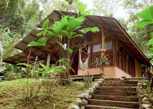 una casa con escaleras que conducen a ella en Amazonita Ecolodge, en Dos Brazos