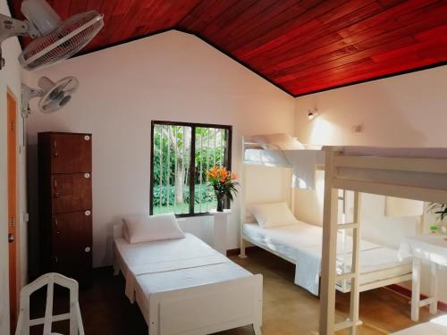 a room with bunk beds and a window at Old Parkland Hostel in Galle