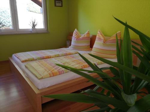 a bed with pillows and a plant in a room at Ferienhaus Lupus in Schmalkalden
