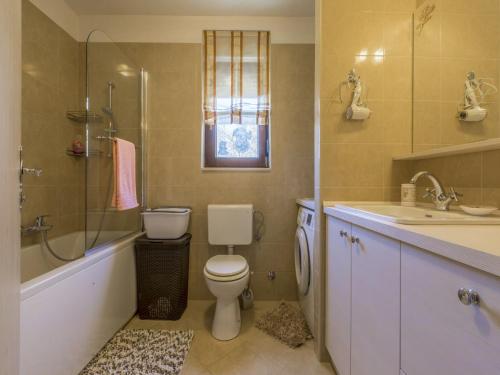a bathroom with a toilet and a sink and a shower at Apartment PEZ in Hreljin