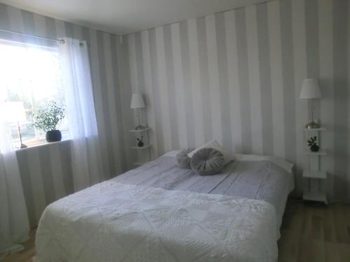 Легло или легла в стая в Björkslingan