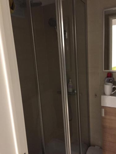 a shower with a glass door in a bathroom at Pequeno Hostel Studio in Lisbon