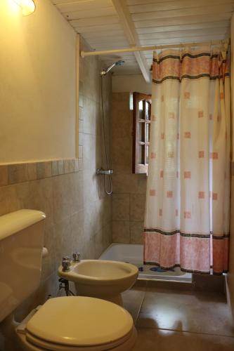 y baño con aseo, lavabo y ducha. en La Fontana Cabañas en San Carlos de Bariloche