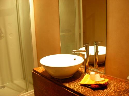 a bathroom with a sink and a mirror at LE MAS DU CAPRIER in Charleval