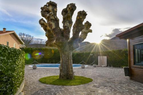 a statue of a tree in a courtyard at esiloM Aparthotel in Cantalupo nel Sannio