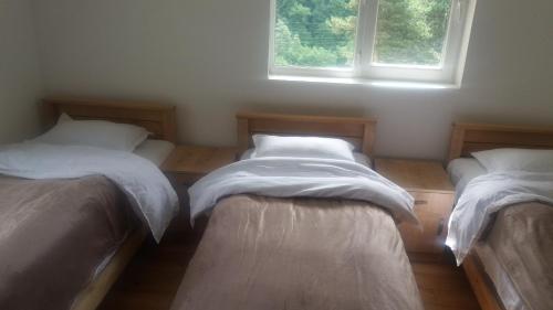 Postel nebo postele na pokoji v ubytování Guesthouse Gama in Khevsureti