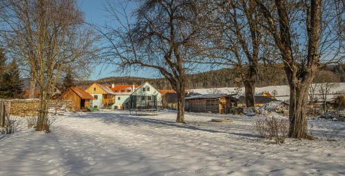 a snow covered road with trees and buildings at U Svatého Petra in Kájov
