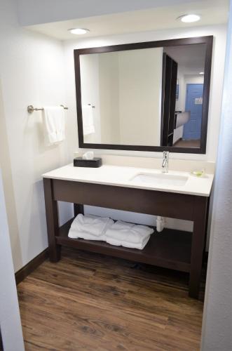 a bathroom with a sink and a large mirror at Athena Inn Chattanooga in Chattanooga