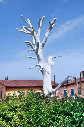 a white tree in front of a building at Fattoria Santa Lucia Borgo alla Cantina in San Gervasio