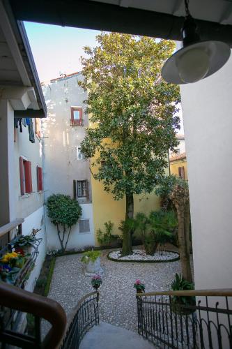 a courtyard with a tree in the middle of a building at B&B La Corte in Chioggia