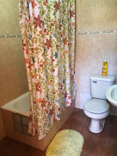 a bathroom with a toilet and a shower curtain at Casa Alejandra in Antofagasta