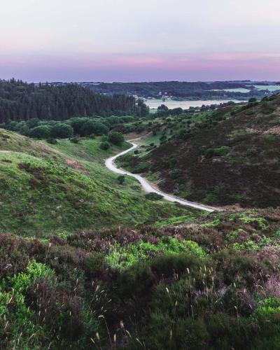 a winding road on a hillside with a river in the distance at Comwell Rebild Bakker in Skorping