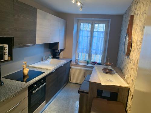 a kitchen with a sink and a counter top at Appartement Wissembourg in Wissembourg