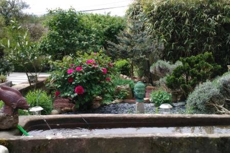 a garden with a fountain with flowers and plants at Chambre dans ancienne Ferme rénovée in Éteimbes