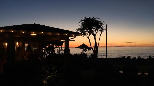 a house with a palm tree in front of a sunset at Cambria Shores Inn in Cambria