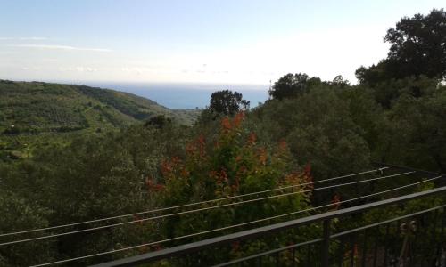 a view from the top of a hill with trees and flowers at rurale in Nocera Terinese