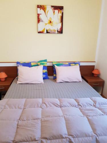 Postel nebo postele na pokoji v ubytování Apartments Davor