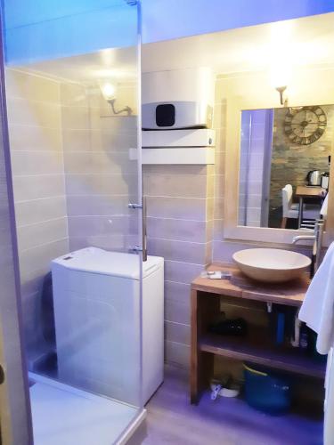 une salle de bain avec toilettes, lavabo et miroir dans l'établissement Chez Muriella & Marco, à Lyon