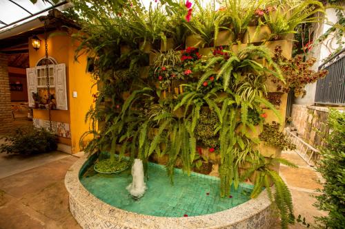 a pool of water with plants in a building at Pousada Sítio Ipê in Viçosa do Ceará
