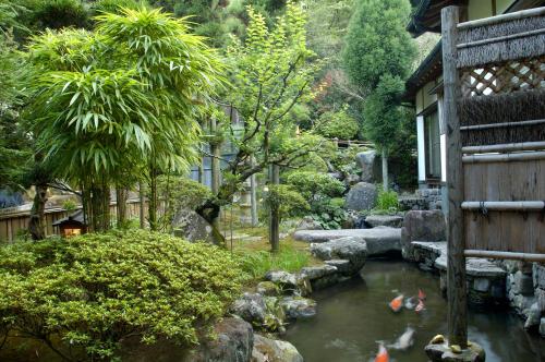 旅館の近くで見られる自然の景観