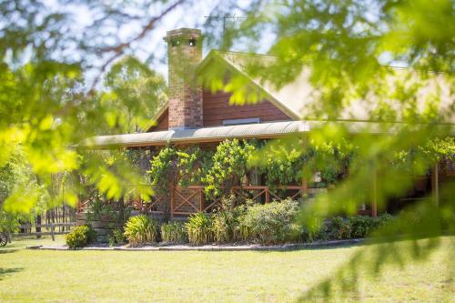 a house is seen through the leaves of trees at Silky Oak Cottage in Pokolbin
