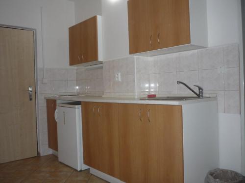 a kitchen with a sink and a counter top at Koleje J.A.Komenského in Brno