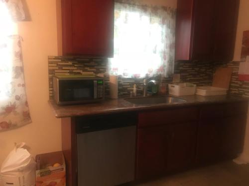 eine Küche mit Mikrowelle und Spüle in der Unterkunft Spacious and Bright Apartment with 3bd2ba in Fremont in Fremont