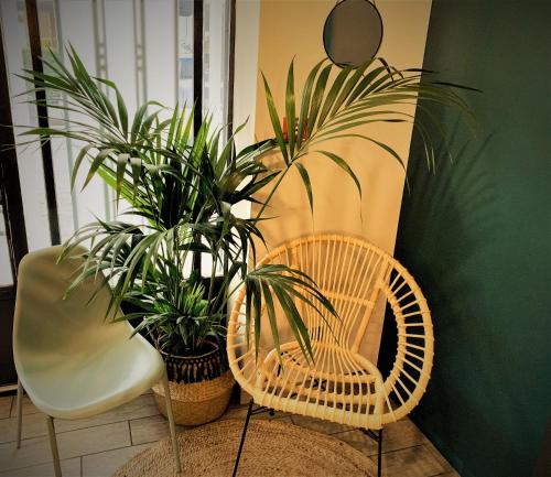 two potted plants sitting next to a chair and a table at Hôtel Boutique Richelieu, Lyon Gare Part-Dieu in Lyon