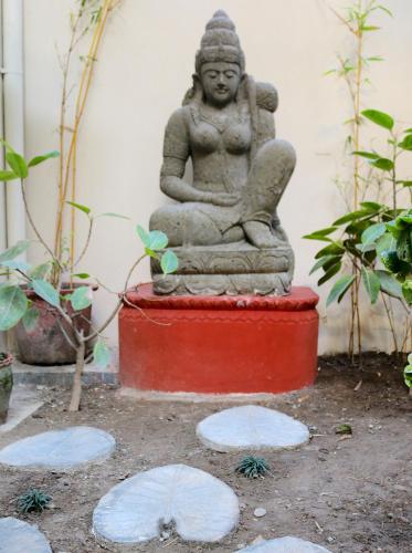 Zahrada ubytování Mango Tree Courtyard Dehradun