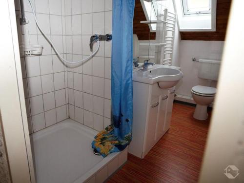 ein Bad mit einer Dusche, einem WC und einem Waschbecken in der Unterkunft Ferienwohnung Stefan Moosmann in Unterkirnach