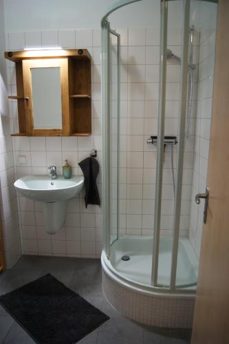 een badkamer met een douche en een wastafel bij Ferienwohnung am Kirchplatz in Lutherstadt Wittenberg