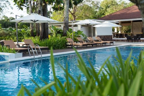 a swimming pool with lounge chairs and umbrellas at Solina Beach & Nature Resort in Carles