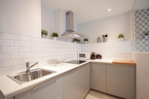 Kuchyň nebo kuchyňský kout v ubytování Loft de lujo a pasos del prado