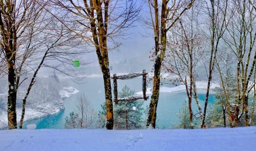 a green frisbee flying over a lake in the snow at Albergo Wellness Da Febo in Tramonti di Sotto