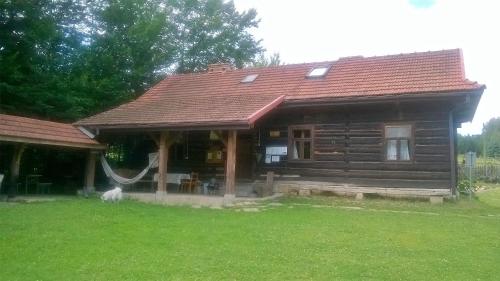 uma cabana de madeira com um cão sentado à sua frente em Gospodarstwo Agroturystyczne "Paryja" em Ołpiny