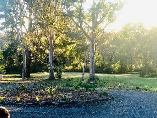 Jardín al aire libre en Eastern Hill Creswick