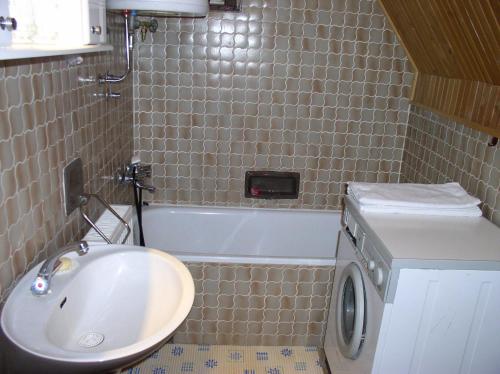 y baño con lavabo y lavadora. en Apartmani U Borovoj Šumi, en Zlatibor