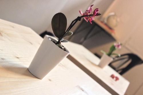 Фотография из галереи La Casa del Corallo в Помпеях