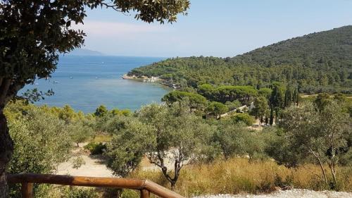 Paesaggio naturale nelle vicinanze dell'appartamento