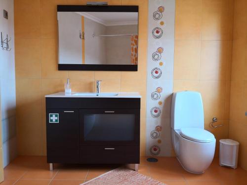 a bathroom with a sink and a toilet and a mirror at Casa dos Gémeos in Sabugueiro