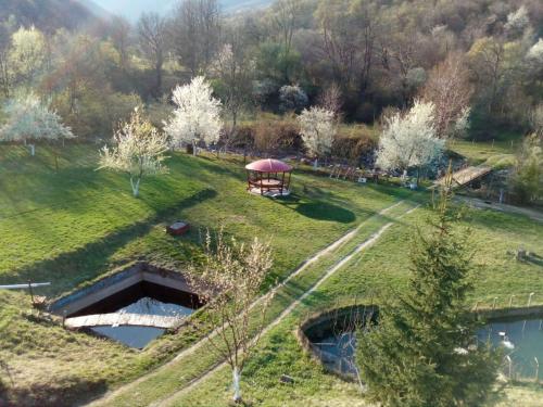 Gallery image of Bungalows Zdravets in Berkovitsa
