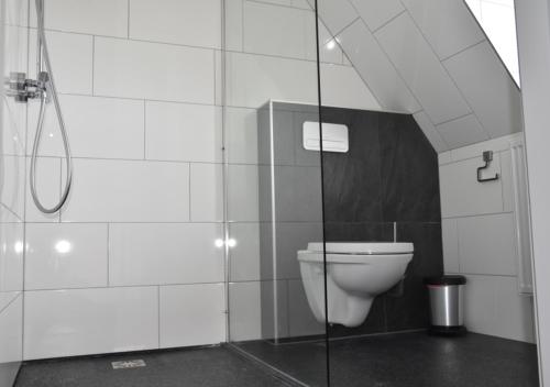 a bathroom with a toilet and a shower at Waterdorp Burdaard in Birdaard