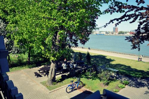 a bike parked under a tree next to a park at Palva in Klaipėda