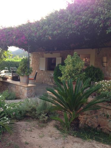 a house with a garden with a plant in the yard at Ses llimoneres in Sóller
